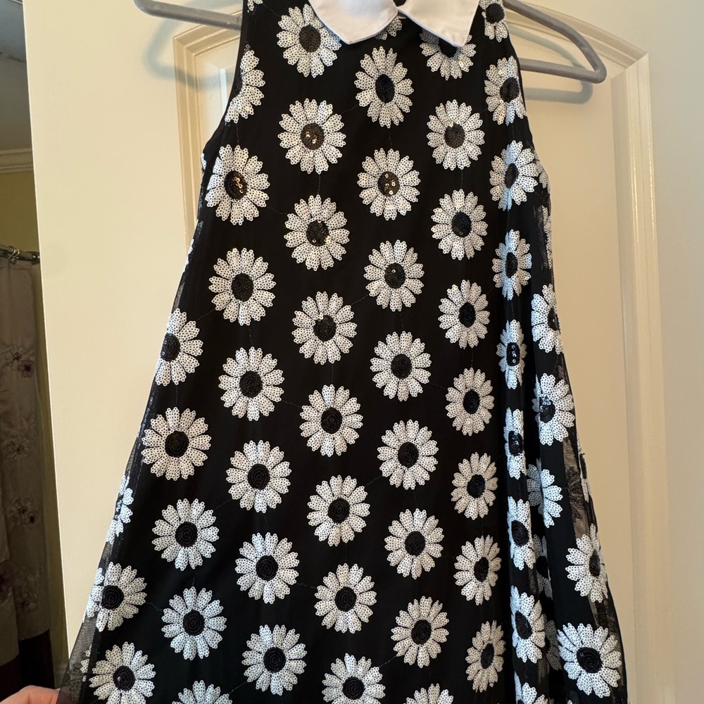 Knitworks Black and White A-Line Dress with Peter Pan Collar